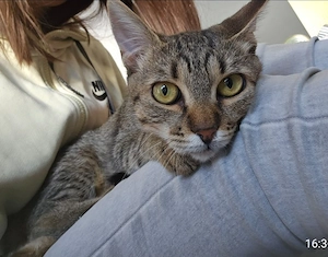 Jenny, 7 Monate, lieb