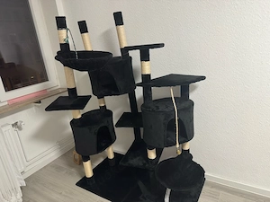 katzen kratzbaum