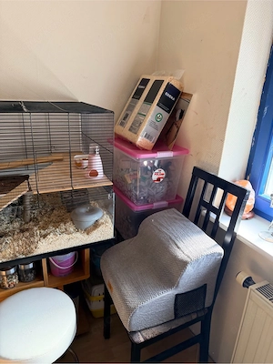 Hamster Mädchen mit käfig 
