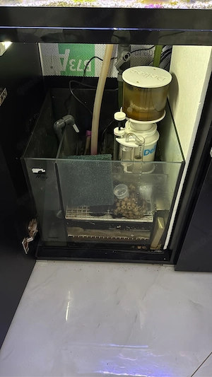 Meerwasserraquarium eheim 350l mit inhalt 