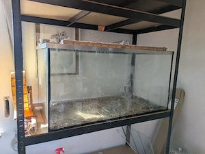 großes ehemaliges aquarium als Hamsterheim 
