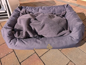 Hundebett zu verschenken 