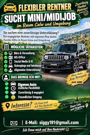 Suche Mini  Midijob als Fahrer 