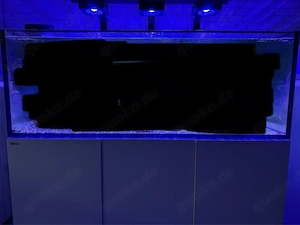 Hobbyaufgabe Meerwasseraquarium Red Sea Reefer 525 g2+ mit besatz