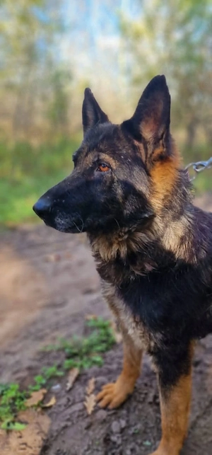 Bella sucht erfahrene Menschen 