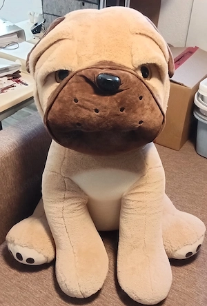 Riesen Haus-Hund 