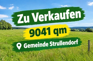 Wiese-Koppel-Streuobstwiese
