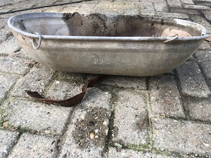 Samenschüssel zu verkaufen