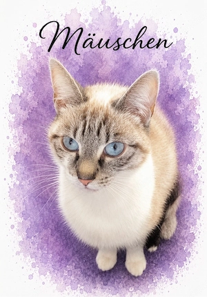 Siam-Mix Katze Mäuschen sucht ein liebevolles Zuhause 