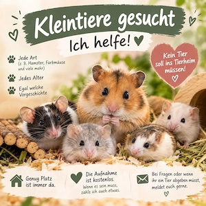        Kleintiere finden bei mir ein Zuhause