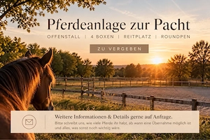 Offenstall zur Pacht