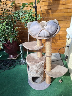 Katzenwohnungen