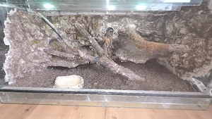 terrarium  120x60x60 mit heizmatten 
