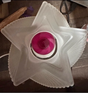 scentsy lampe rar duftlampe 