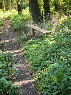 (50eurTg)suche ein schlankes Mädel für ein BJ 
