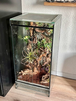 Hochterrarium 80cm 