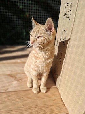 Lui und Bruno haben ihre Koffer gepackt # Tierschutz 