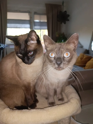 Männerduo  in beste Hände 