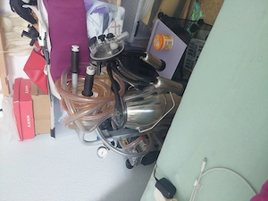 Welche Bäuerin Frau Melk meinen Schwanz mit der Melkmaschine 