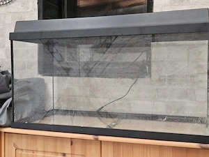 120 liter aquarium abzugeben 