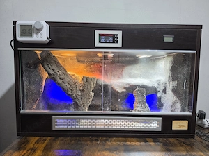 Terrarium für Geckos