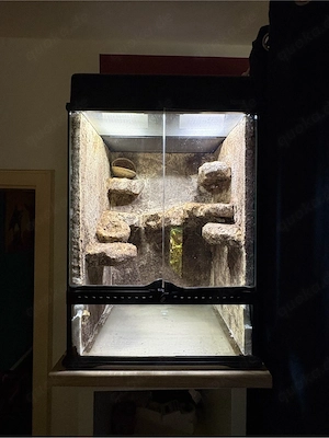 Terrarium Glas ExoTerra 45x45x60