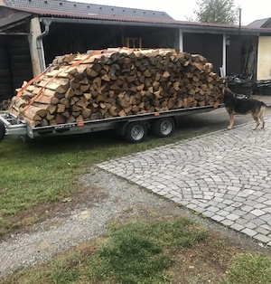 brennholz freise 