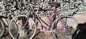 Fahrrad Konvolut 6 Stück