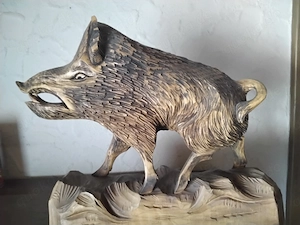 Wildschwein 