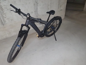 E- Bike Reaction Hybrid 29 Zoll