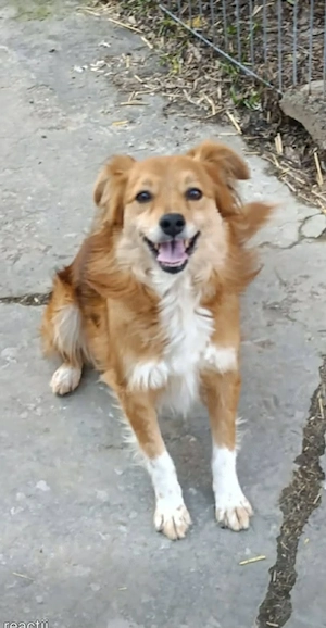 Coco wartet schon so lange 