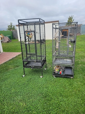 Vogelkäfige 