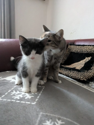 Mama & Sohn