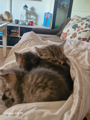 Unsere Babys 4 Wochen alt