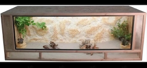 wunderschönes Terrarium zum bepflanzen 
