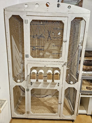 Super schöne Voliere für Vögel (mit Zubehör) oder Kleintiere zu verkaufen! 