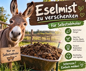 Eselmist zu verschenken   natürlicher Dünger für den Garten