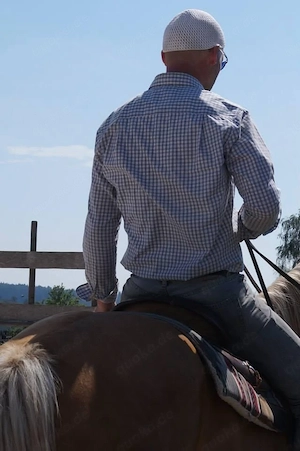 Reiter sucht Reitbeteiligung an QH Stute
