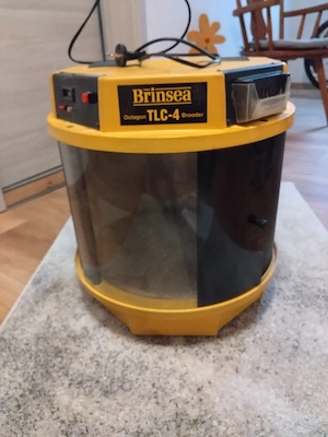 Brinsesa TlC-4 Aufzuchtgerät 