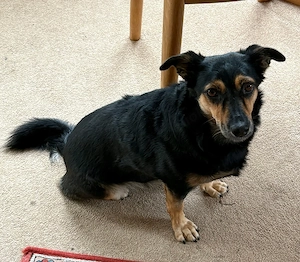 Lisa, 8 Jahre, 38 cm