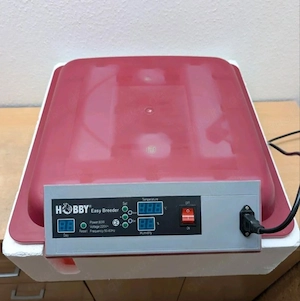 Hobby Easy Breeder Inkubator