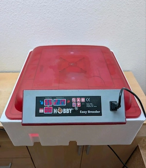 Hobby Easy Breeder Inkubator