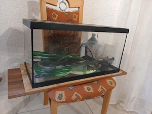 Aqiarium zu verkaufen 