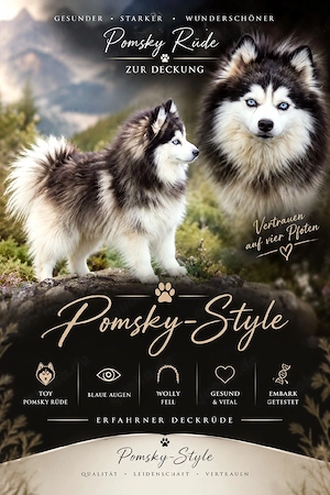 Pomsky Wolly Toy F3 DECKRÜDE 