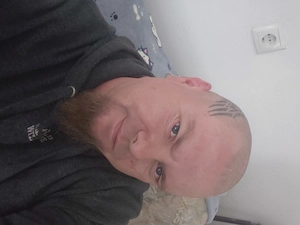 Mitbewohnerin gesucht 