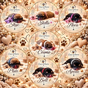 Puggle meet's Beagle 