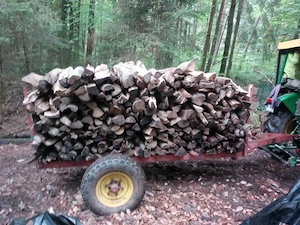 Brennholz Buche Meterscheite Kaminholz