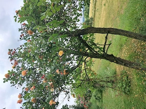 Hallo Herbst und Winter und auch Frühling und Sommer