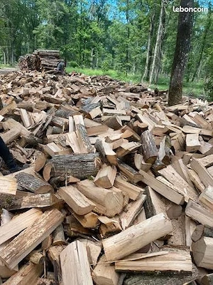 Trockenes Brennholz
