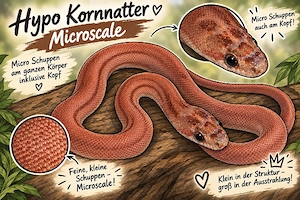 1.0 Microscale Stripe het 66% Palmetto, Caramel, Amel 25% Anery, Hypo 